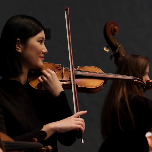 violin training in Hinjewadi